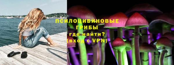 мет Белокуриха