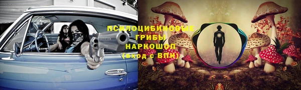 spice Приозерск