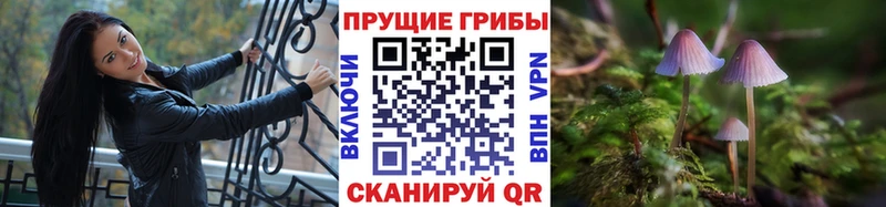 Галлюциногенные грибы ЛСД  магазин продажи   даркнет официальный сайт  Лыткарино 